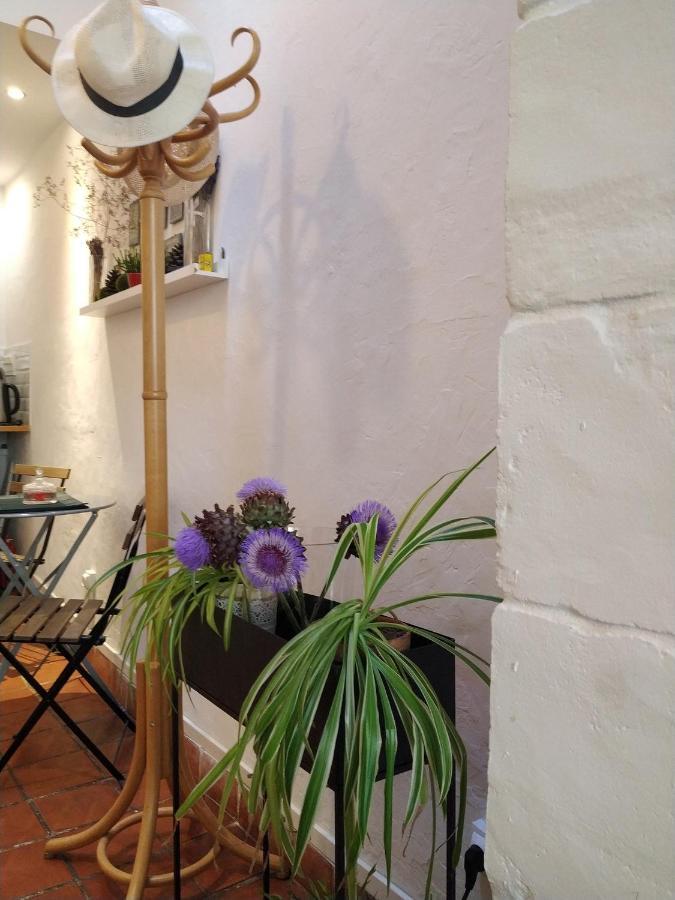 Appartement Arles Centre Historique Zewnętrze zdjęcie